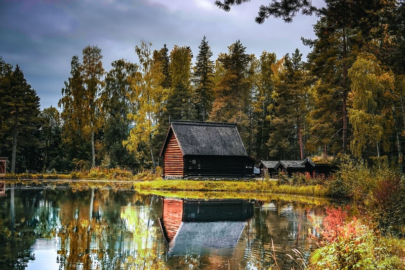 Secluded Cabin in the Woods